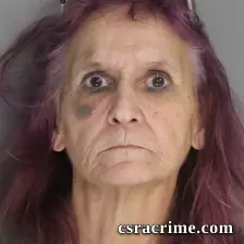 Sheran Shrawder booking photo