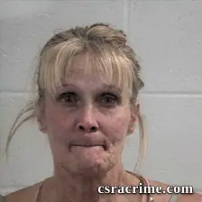 Sheri Lynn White booking photo
