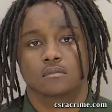 Shermaine Armour booking photo