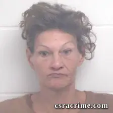 Sherry Ann Horner booking photo