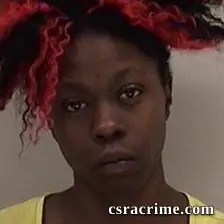 Shirlette Hayes booking photo