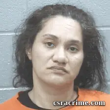 Shondel Mcburney booking photo