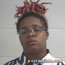 Shytianna Lanirah Lewis booking photo