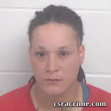 Sierra Louise Mcnure booking photo