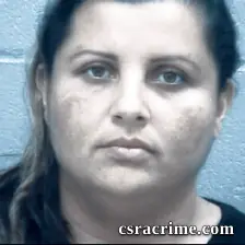 Silvia Lanza Sandoval booking photo