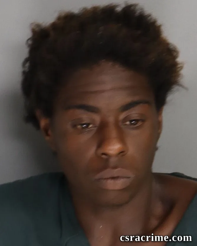 Skylare Gramblin booking photo