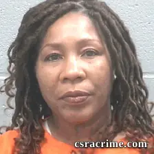 Sonya Lee booking photo