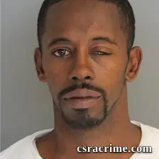 Stacey Bing booking photo