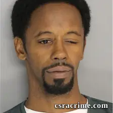 Stacey Bing booking photo