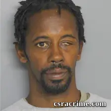 Stacey Bing booking photo