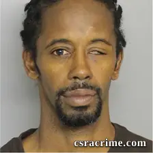 Stacey Bing booking photo