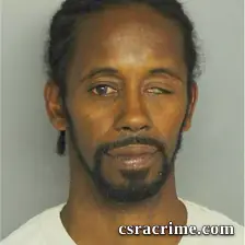 Stacey Bing booking photo