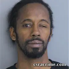 Stacey Bing booking photo