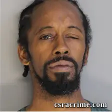 Stacey Bing booking photo
