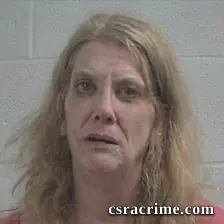 Stacey Lyn Farias booking photo