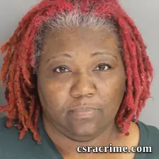 Stacey Moses booking photo