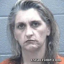 Stacie Stonehill booking photo