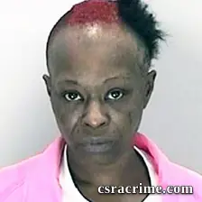 Stacy Suber booking photo