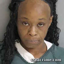 Stacy Suber booking photo