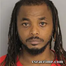 Stefano Spann JR booking photo