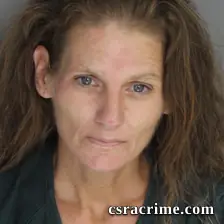 Stephaine Rollison booking photo