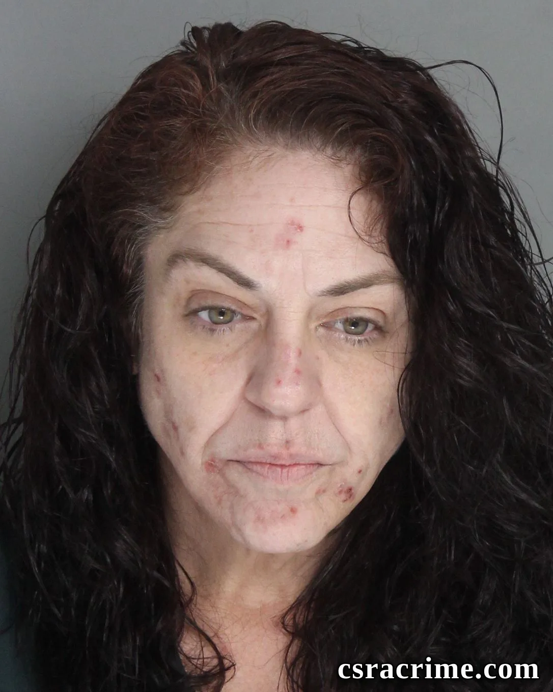 Stephanie Dillard booking photo
