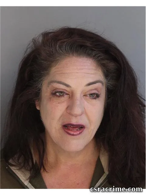 Stephanie Dillard booking photo
