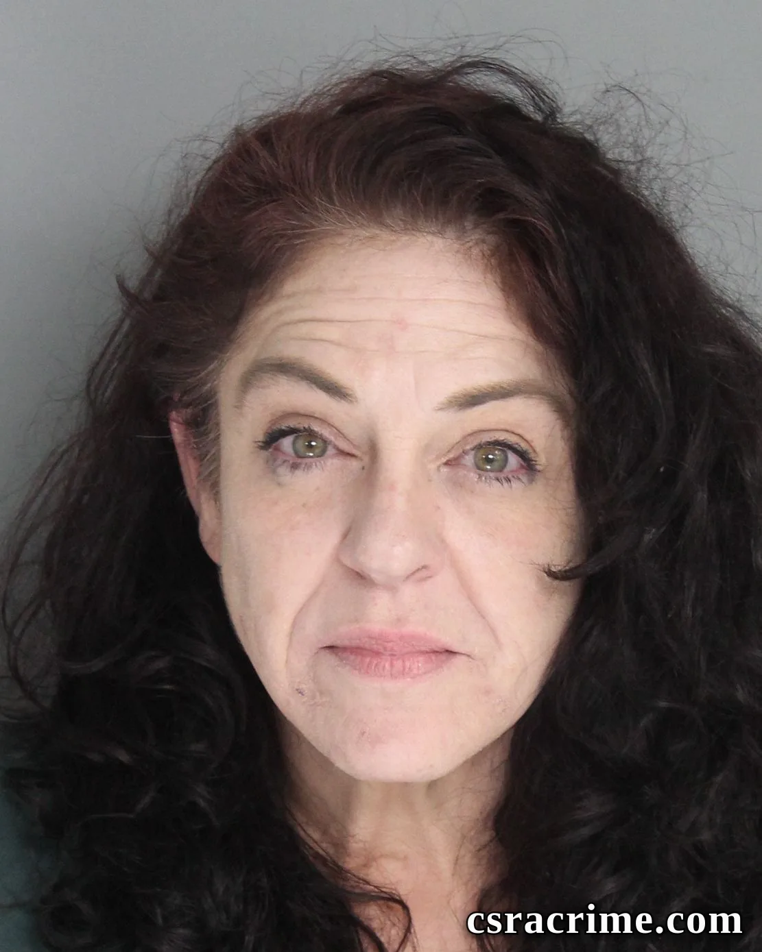 Stephanie Dillard booking photo