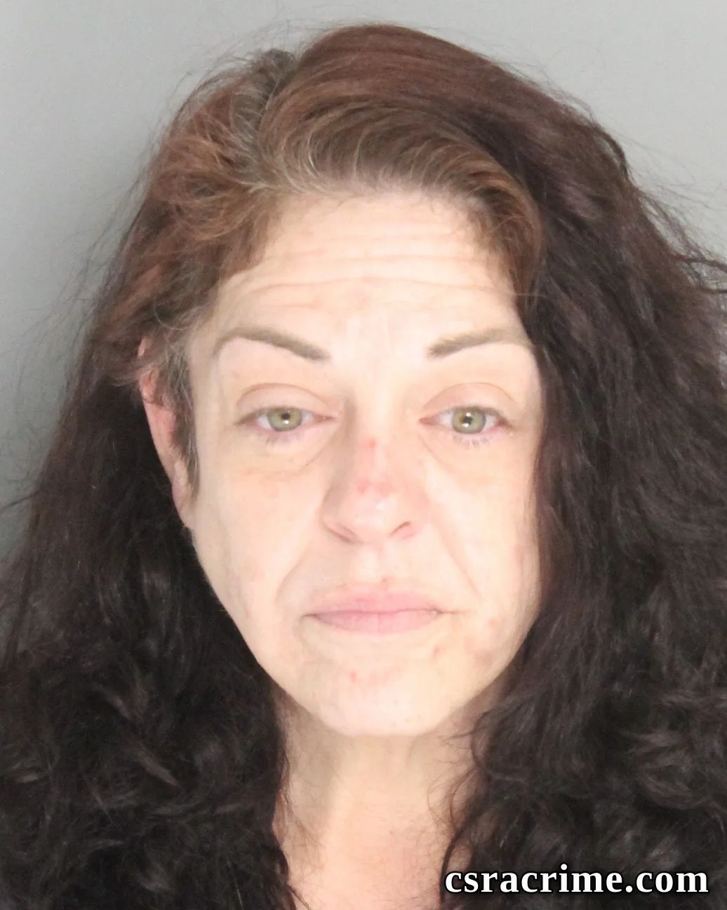 Stephanie Dillard booking photo
