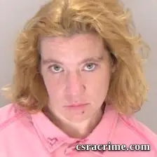 Stephanie E Wilson booking photo