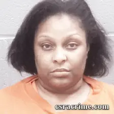 Stephanie Flakes booking photo