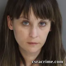 Stephanie Hensley booking photo