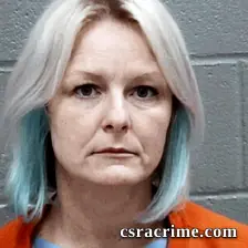 Stephanie Johnson booking photo