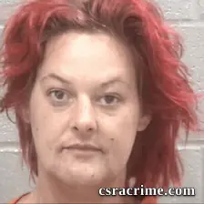 Stephanie Lastar Cadle booking photo