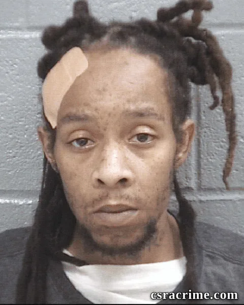Steven Ellison booking photo