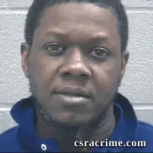 Steven Williams booking photo