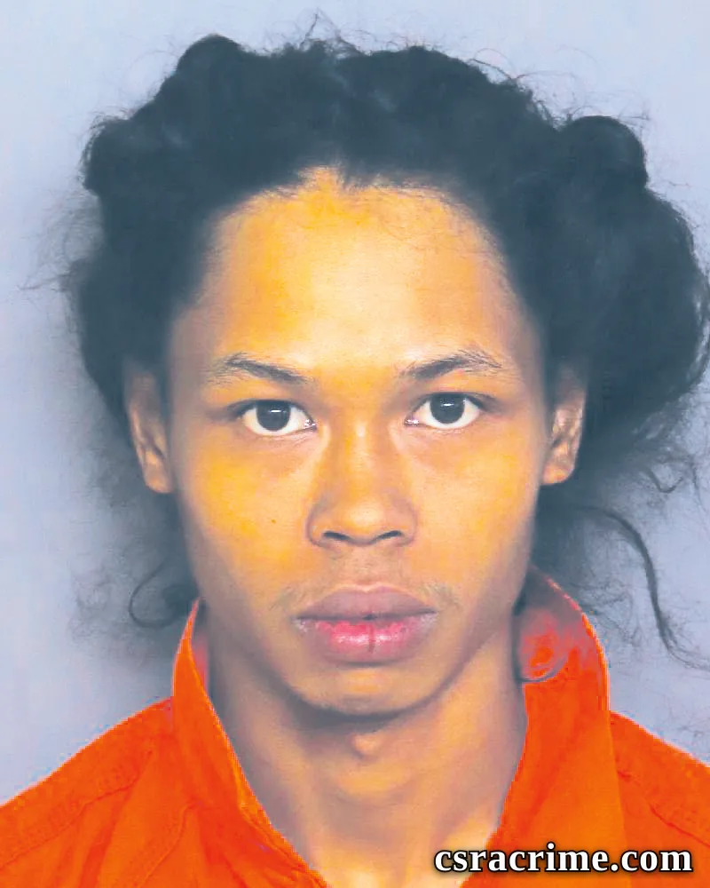 Steven Yi-Walton booking photo