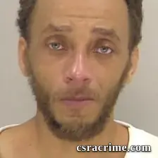 Stevie Gale Brown booking photo