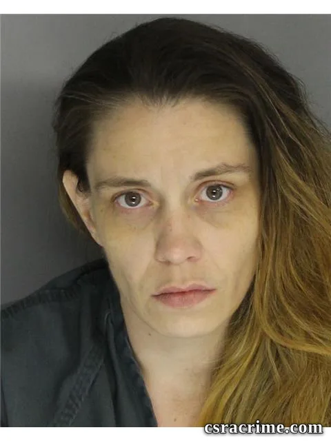 Stevie Kneece booking photo