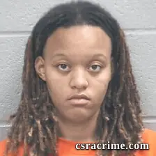 Summer Evans booking photo