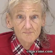 Susan Alicia Mattingly booking photo