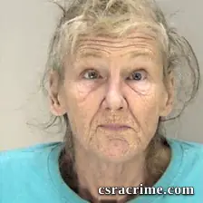Susan Alicia Mattingly booking photo