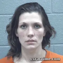 Susan Alligood booking photo