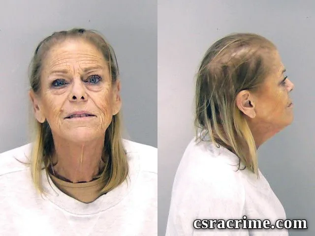 Susan Dowd booking photo