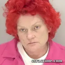 Susan Elizabeth Sorrells booking photo