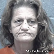 Susan Jones booking photo