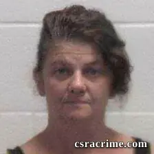 Susan Layton booking photo