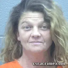 Susan Layton booking photo