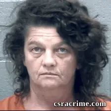 Susan Layton booking photo