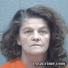 Susan Layton booking photo